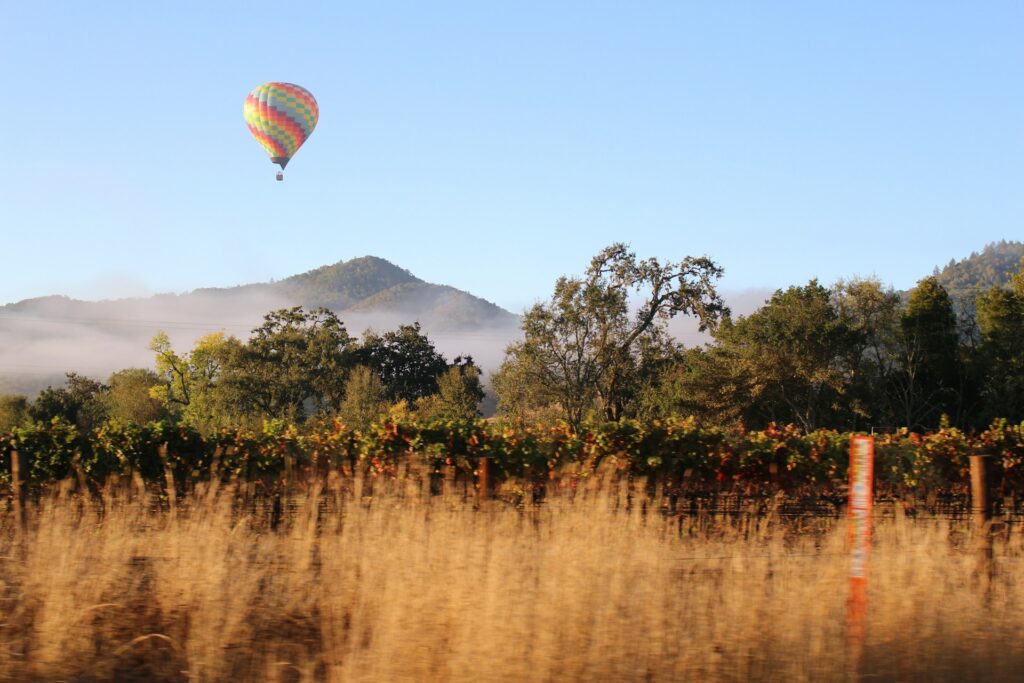 hot air balloons over Napa Valley 