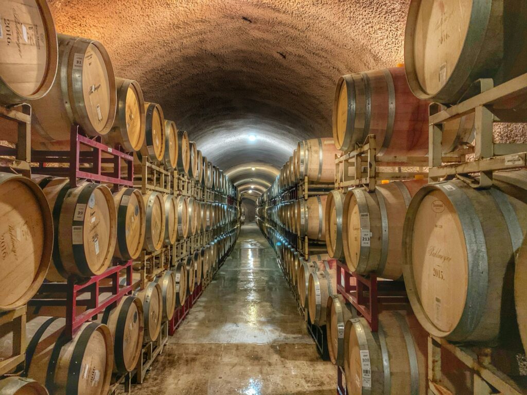 Wine barrels in vineyard 